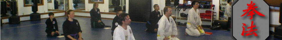 kempoinfo.com header image 1