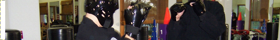 kempoinfo.com header image 3